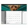 Rediform Office Products Blueline, PETS COLLECTION MONTHLY DESK PAD, 22 X 17, PUPPIES, 2021 C194116